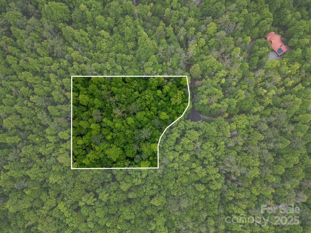 Lt 306 Old Spring Road Brevard NC 28712