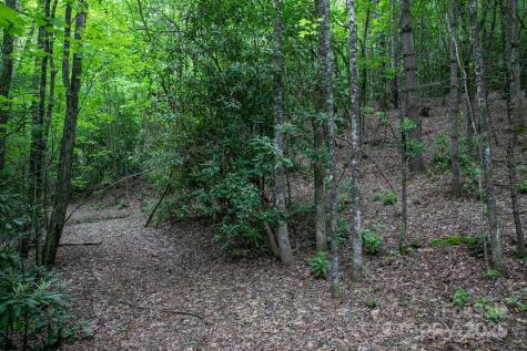 Lt 306 Old Spring Road Brevard NC 28712