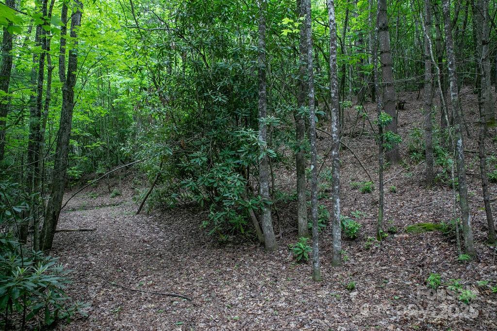 Lt 306 Old Spring Road Brevard NC 28712