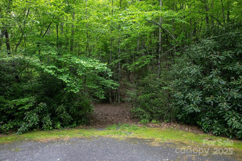 Lt 306 Old Spring Road Brevard NC 28712