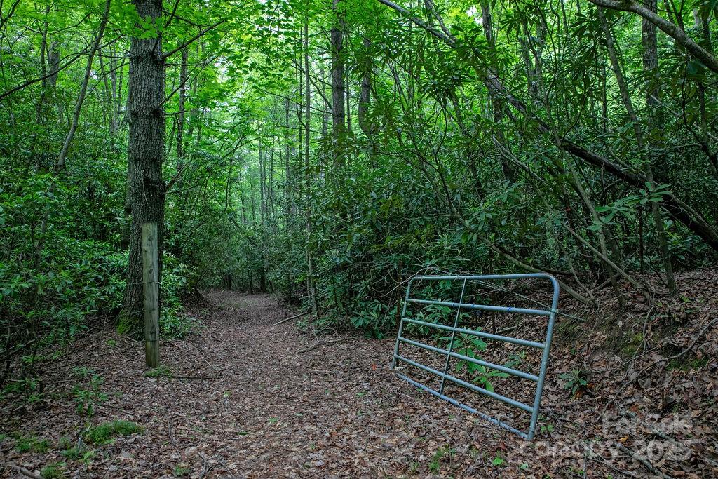 Lt 306 Old Spring Road Brevard NC 28712
