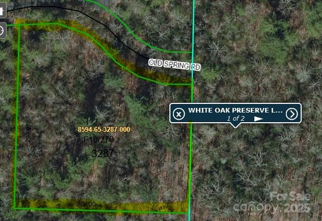 Lt 306 Old Spring Road Brevard NC 28712