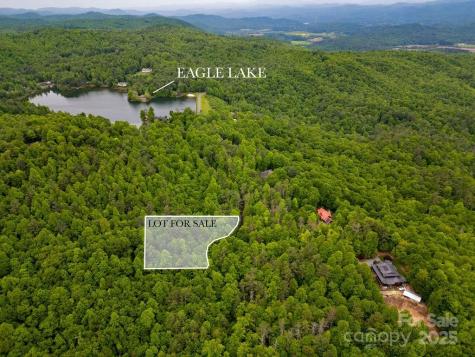 Lt 306 Old Spring Road Brevard NC 28712