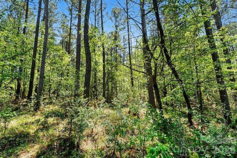 4337 Persimmon Road Lancaster SC 29720