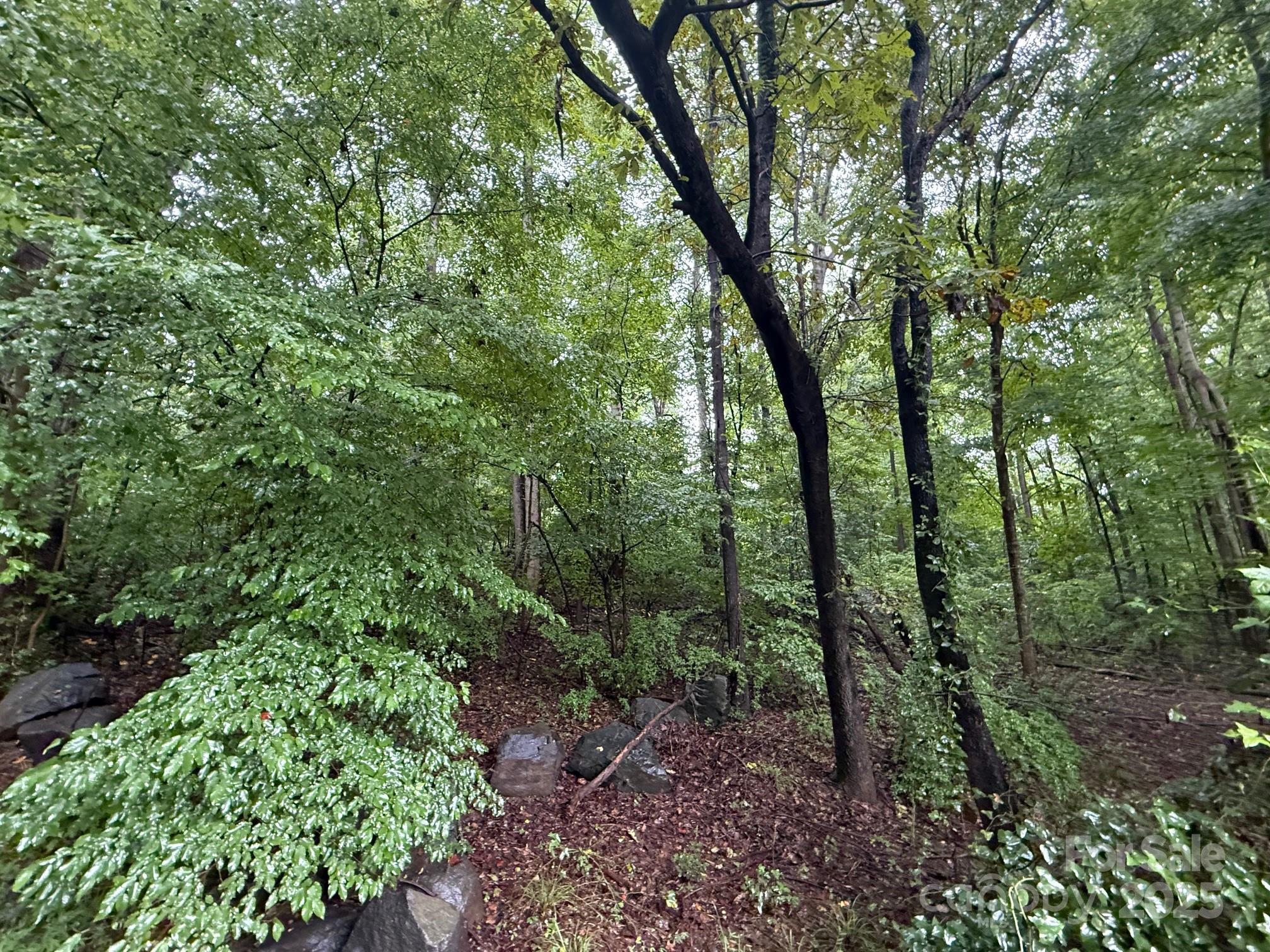 3117 Shirley Drive Charlotte NC 28214