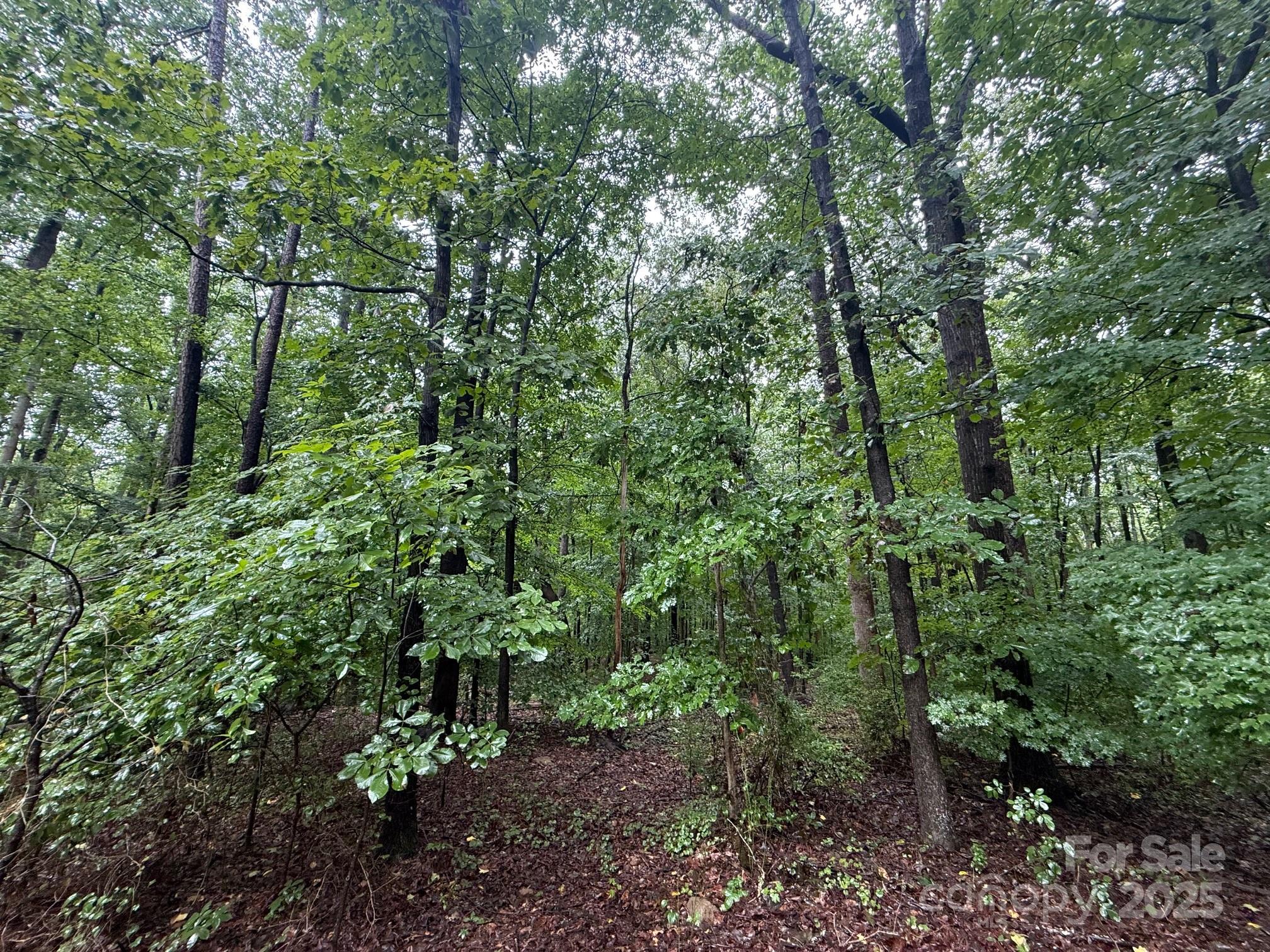 3117 Shirley Drive Charlotte NC 28214