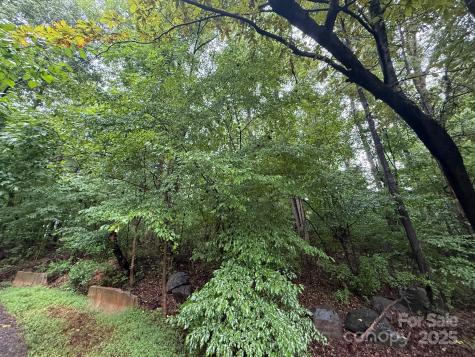 3117 Shirley Drive Charlotte NC 28214