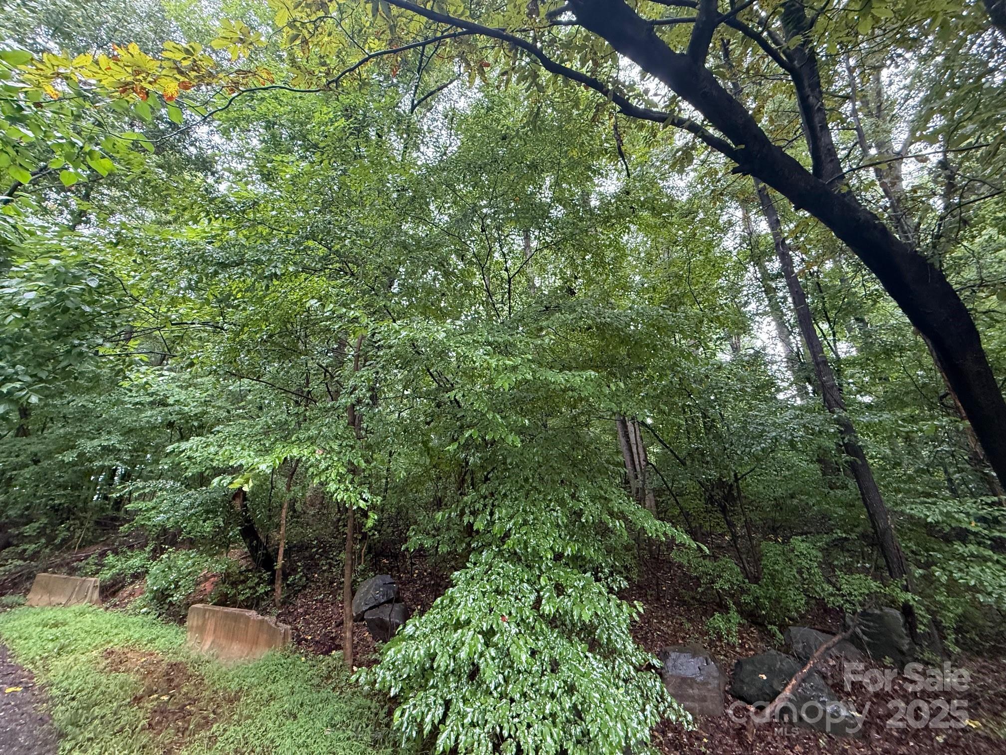 3117 Shirley Drive Charlotte NC 28214