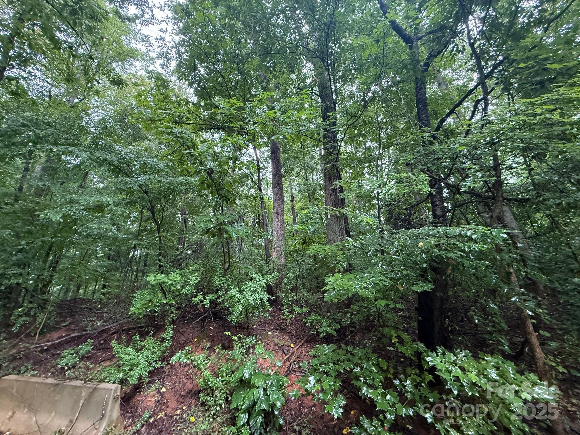 3117 Shirley Drive Charlotte NC 28214