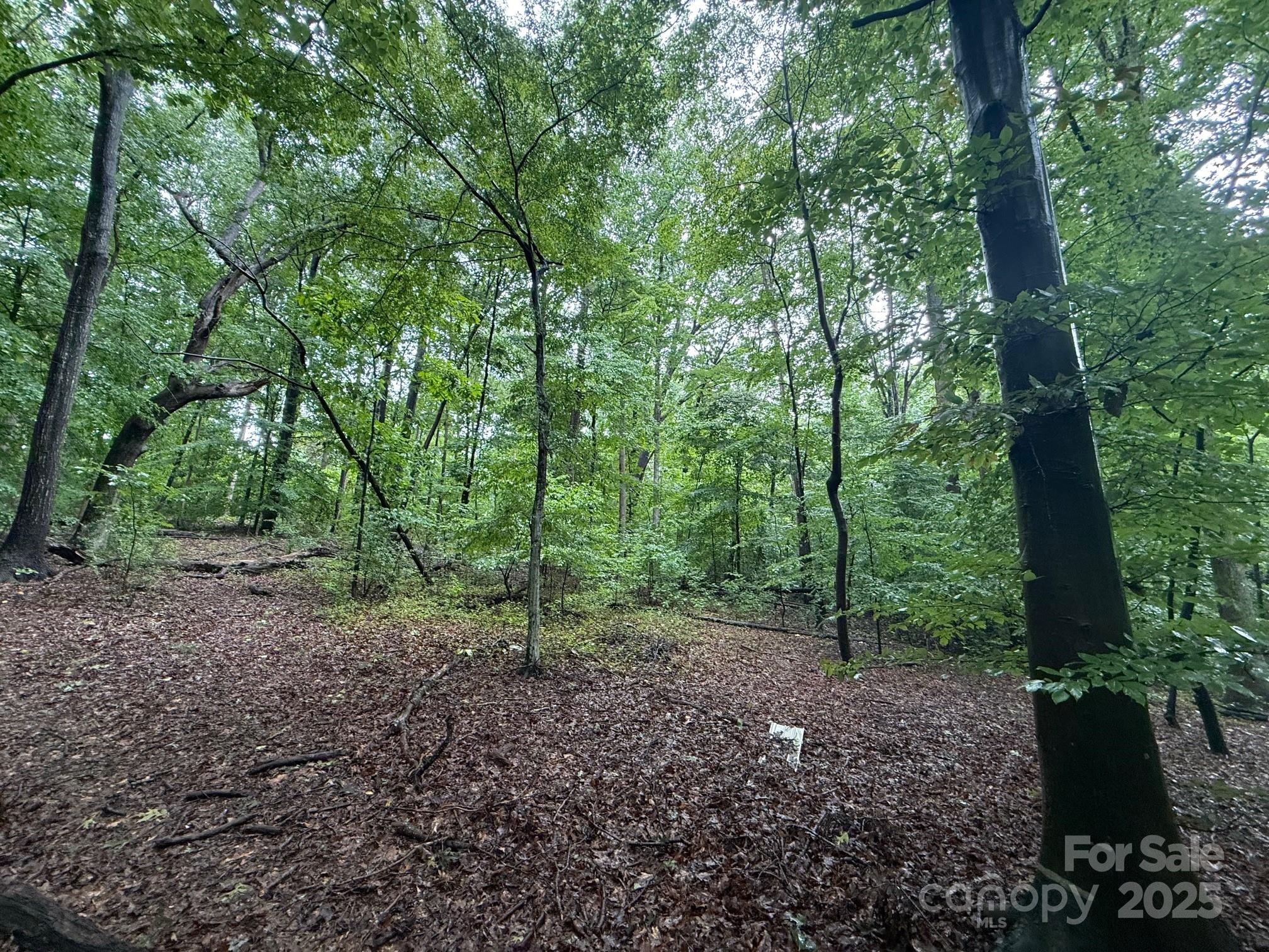 3117 Shirley Drive Charlotte NC 28214