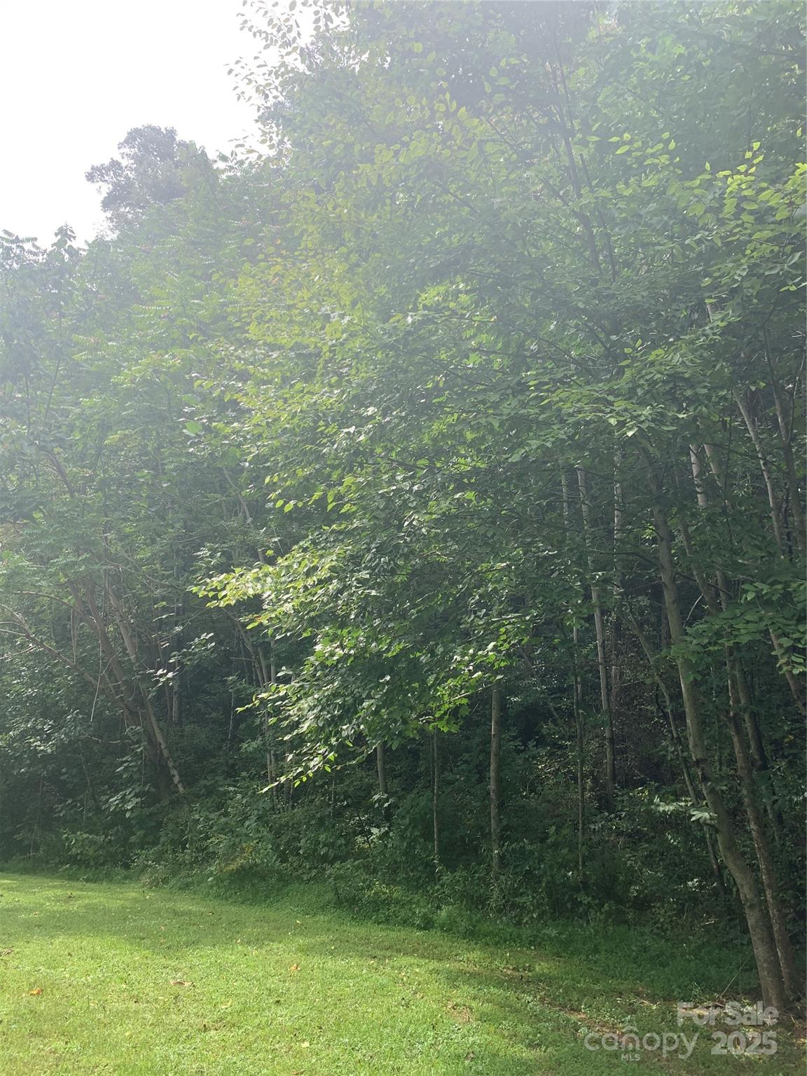 147 W Splitrail Drive Hendersonville NC 28792