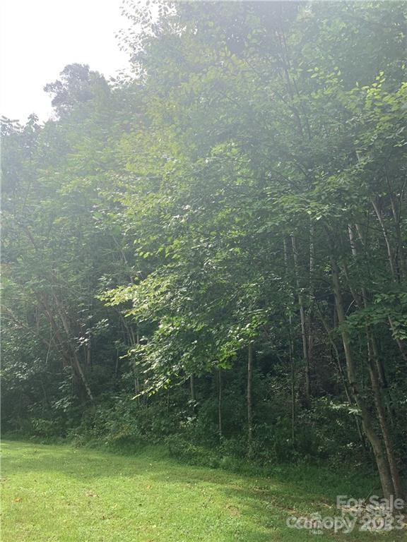147 W Splitrail Drive Hendersonville NC 28792