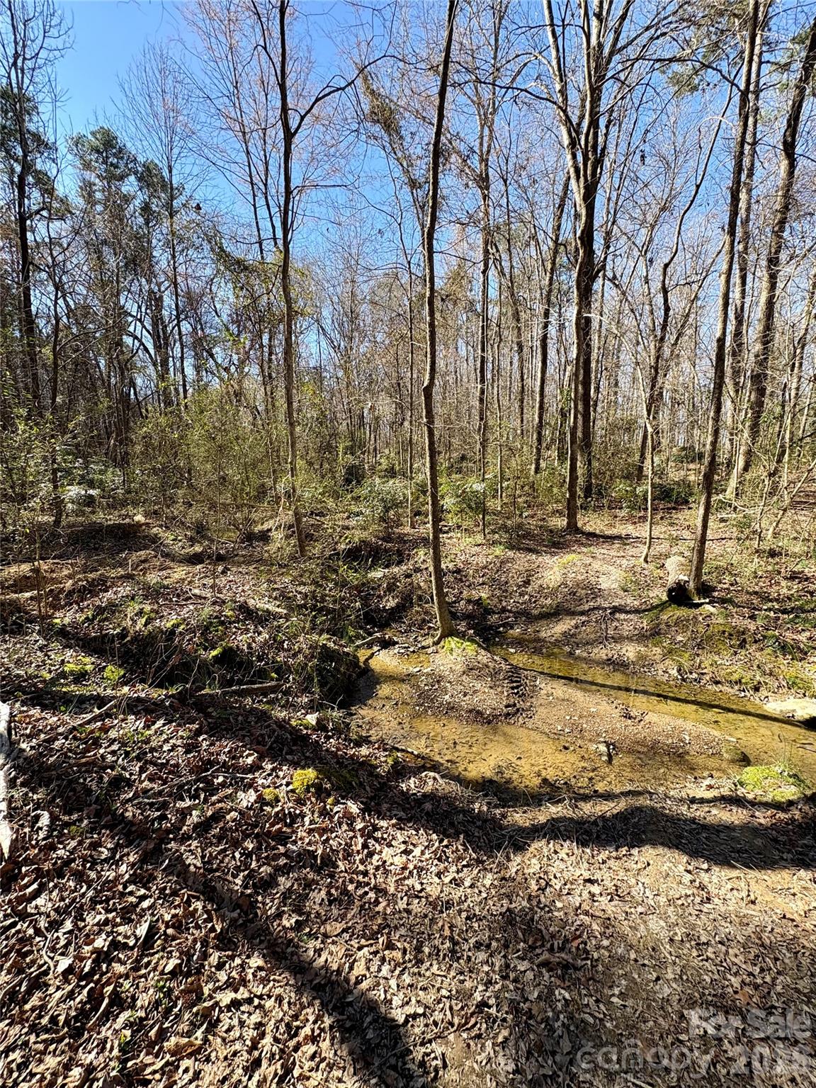 1417 Ellis Griffin Road Wingate NC 28174