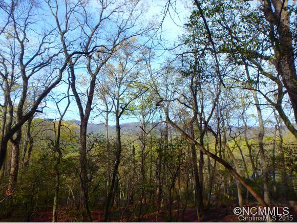 716 Craggyside Lane Arden NC 28704