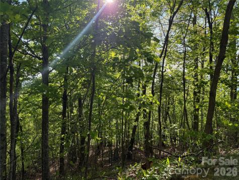 Lot 9 & 10 Andrew Banks Road Burnsville NC 28714