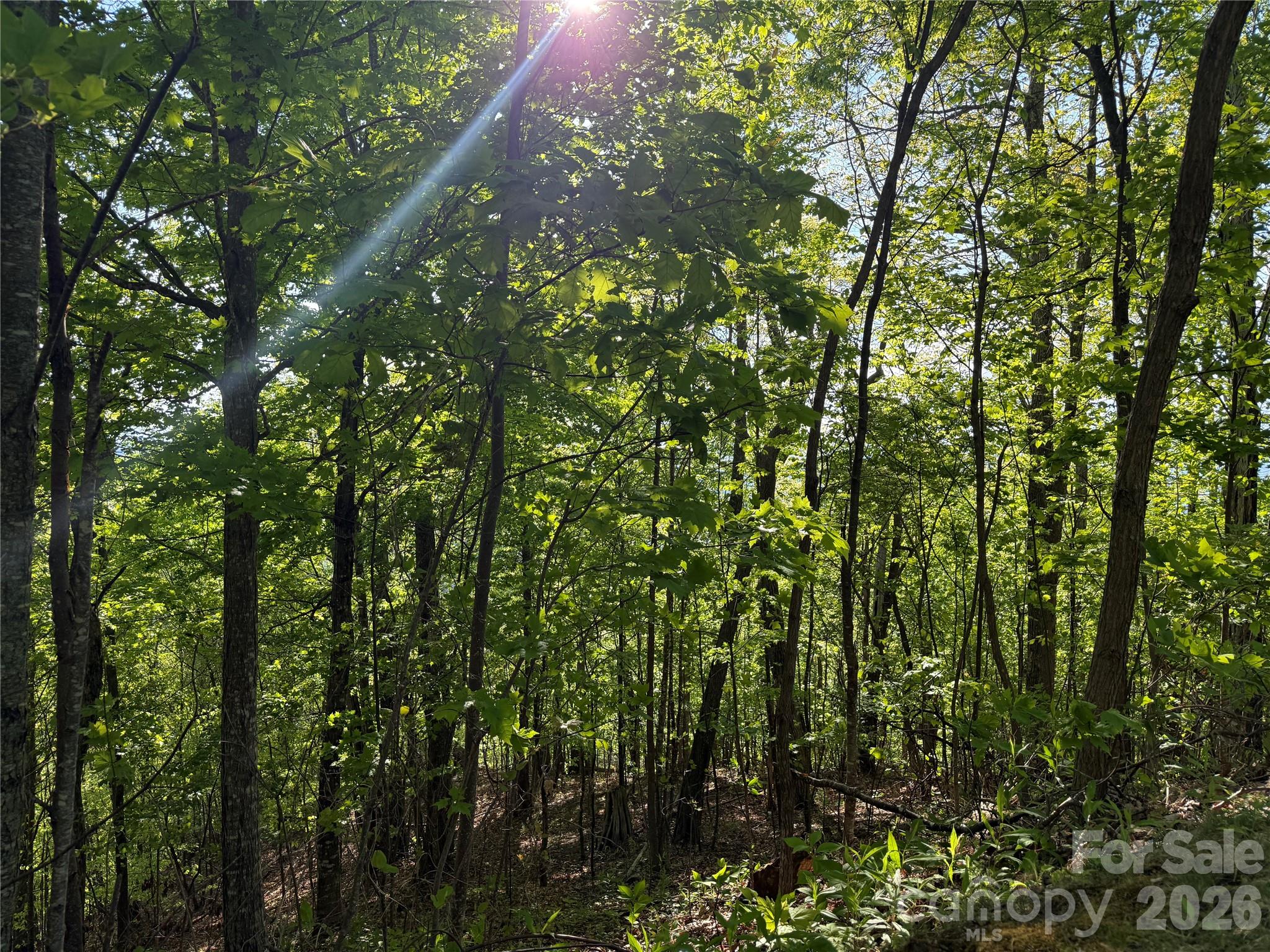 Lot 9 & 10 Andrew Banks Road Burnsville NC 28714