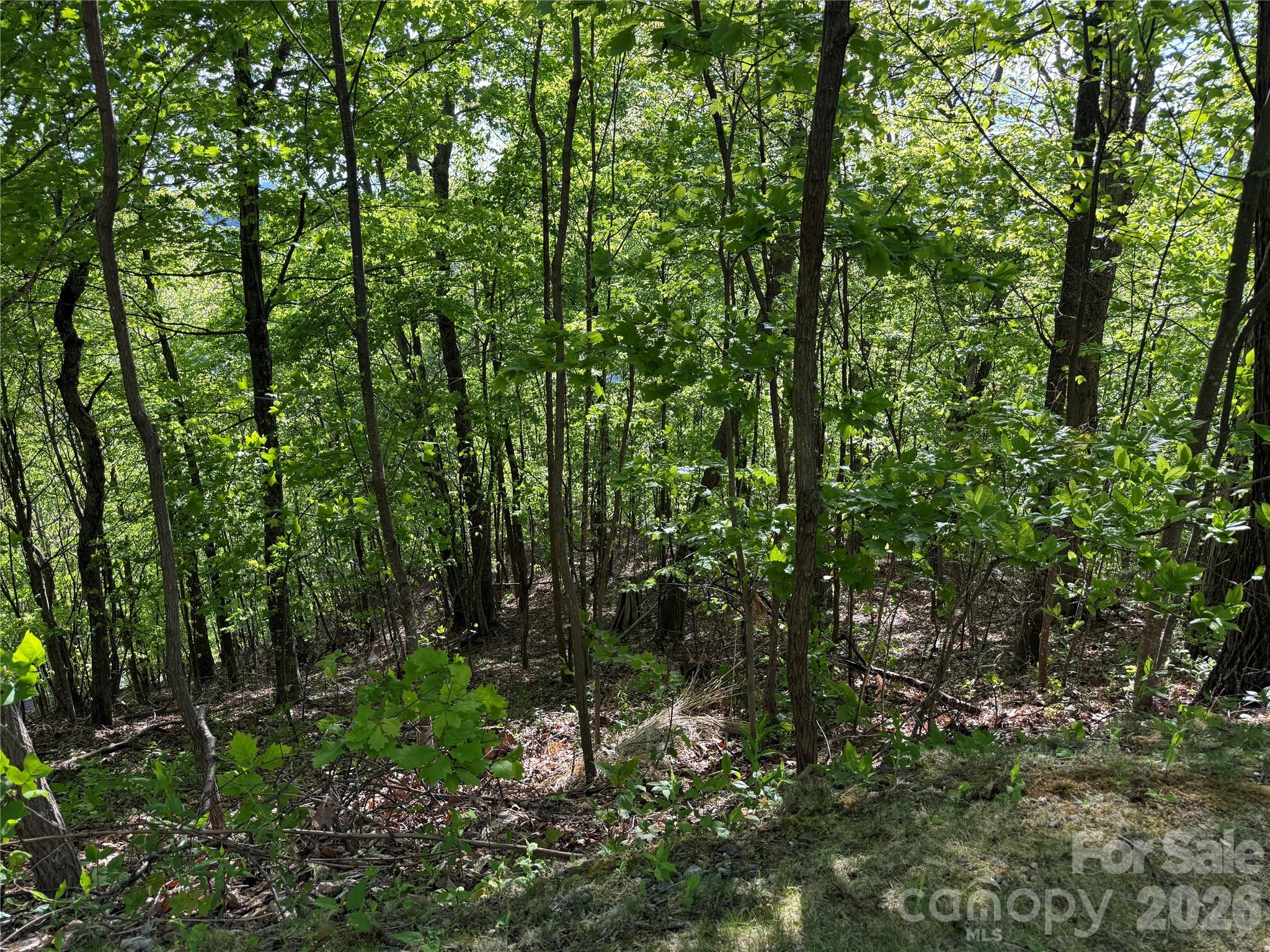 Lot 9 & 10 Andrew Banks Road Burnsville NC 28714