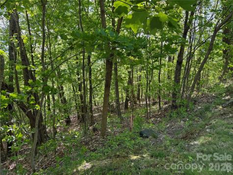 Lot 9 & 10 Andrew Banks Road Burnsville NC 28714