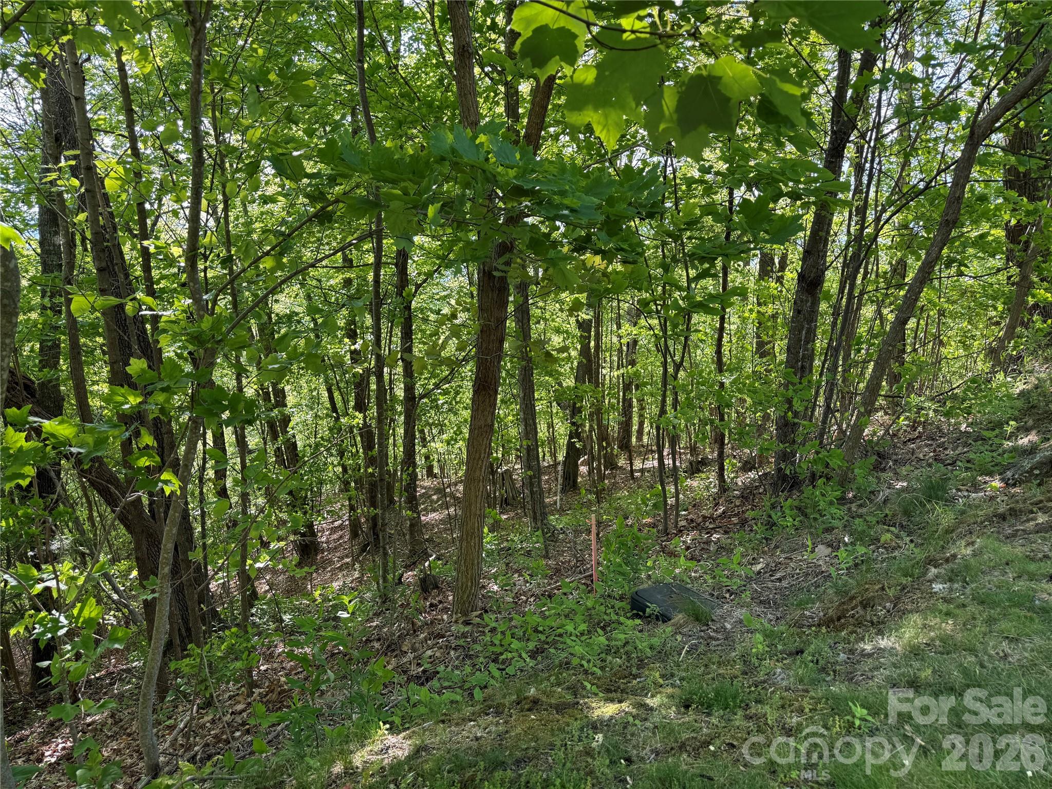 Lot 9 & 10 Andrew Banks Road Burnsville NC 28714