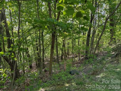 Lot 9 & 10 Andrew Banks Road Burnsville NC 28714