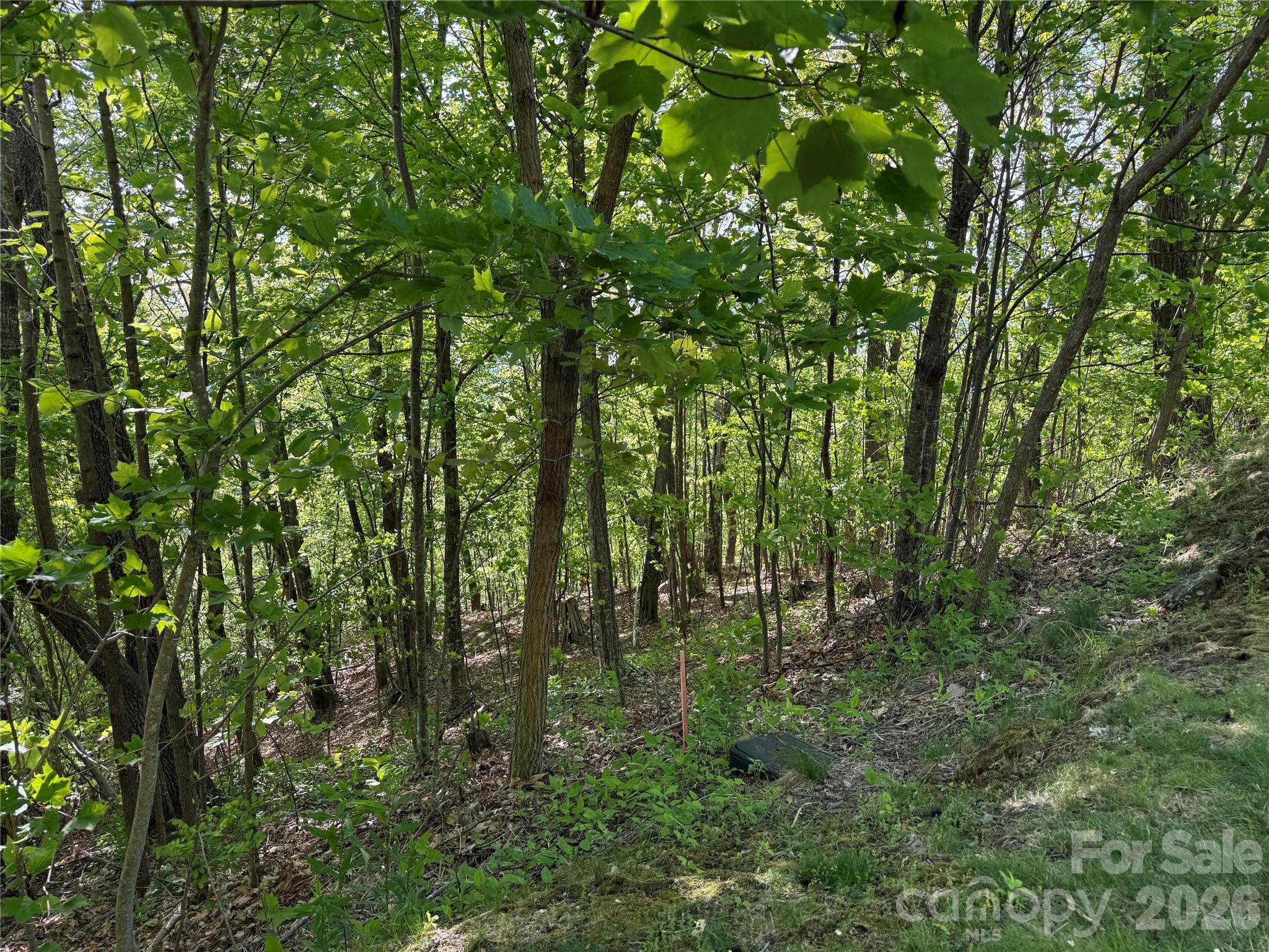 Lot 9 & 10 Andrew Banks Road Burnsville NC 28714