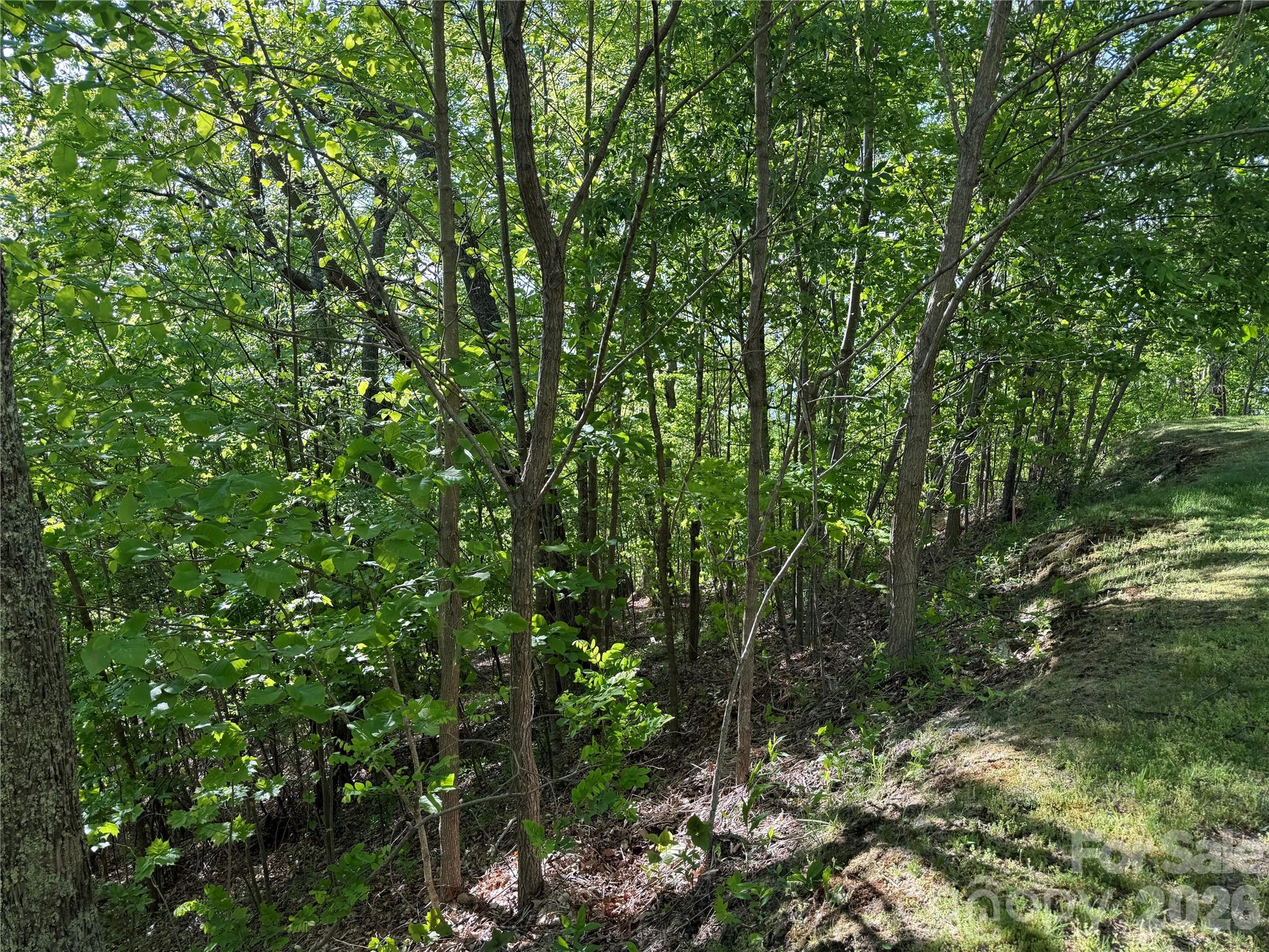Lot 9 & 10 Andrew Banks Road Burnsville NC 28714