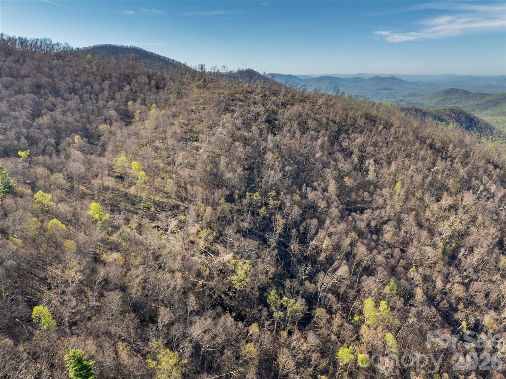 48 Benfield Road Weaverville NC 28787