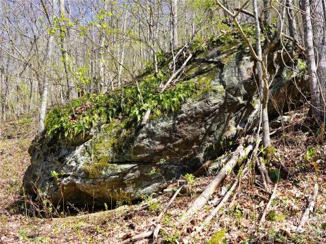 48 Benfield Road Weaverville NC 28787
