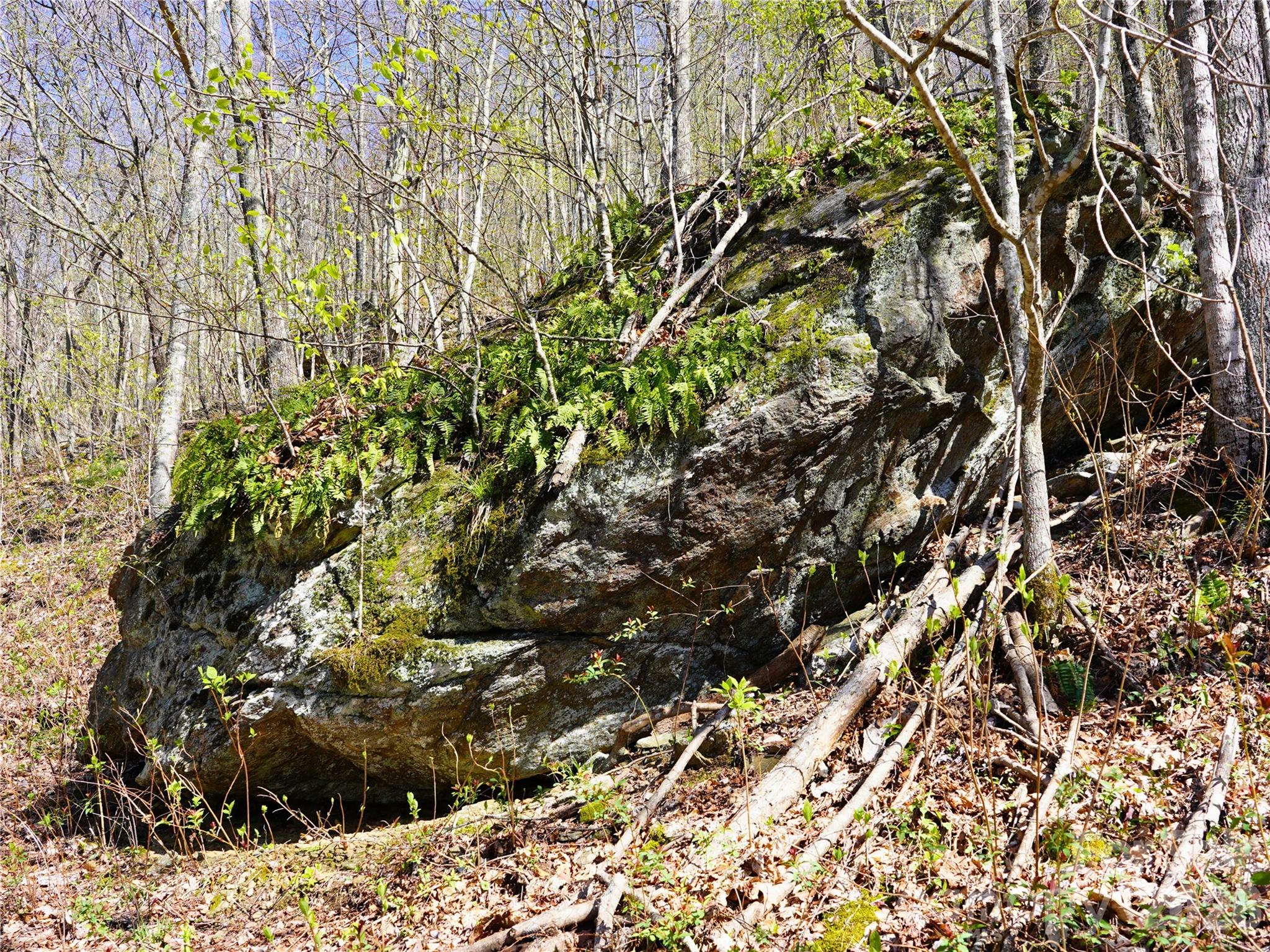 48 Benfield Road Weaverville NC 28787