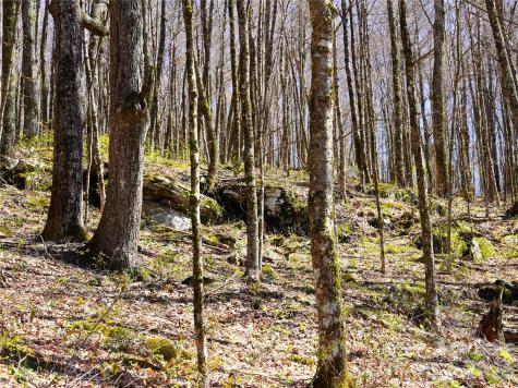48 Benfield Road Weaverville NC 28787