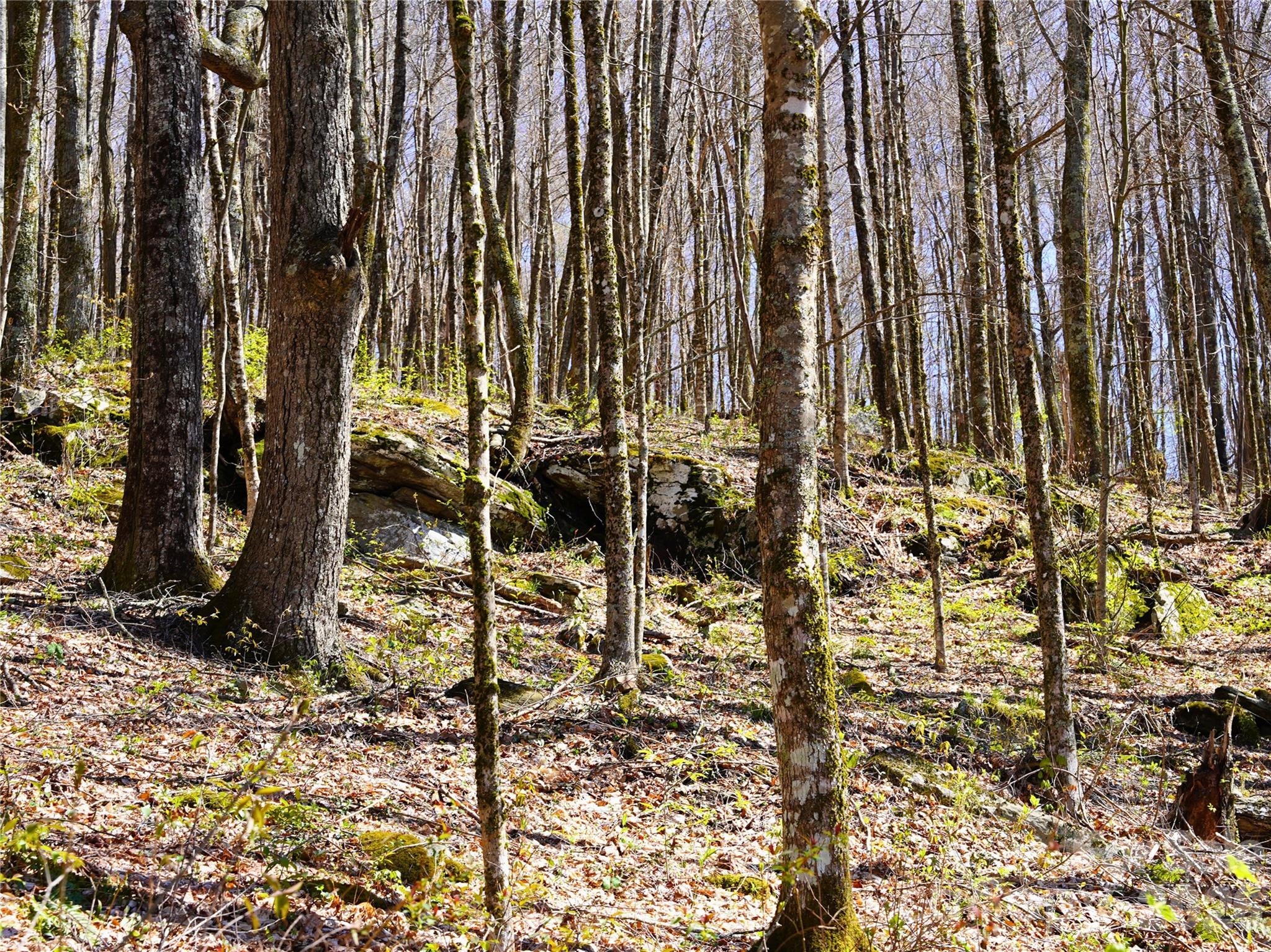 48 Benfield Road Weaverville NC 28787