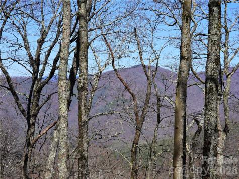48 Benfield Road Weaverville NC 28787