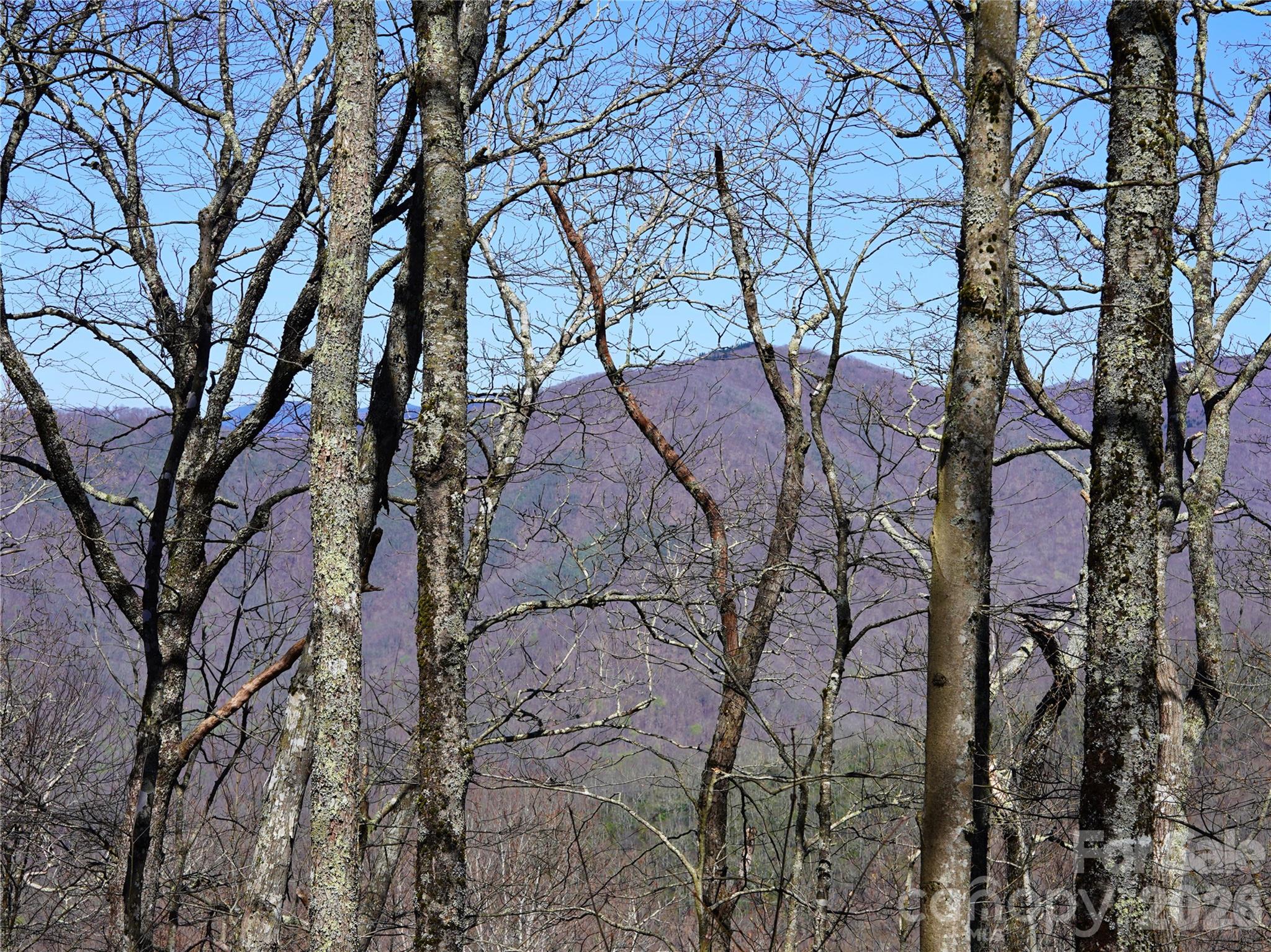 48 Benfield Road Weaverville NC 28787