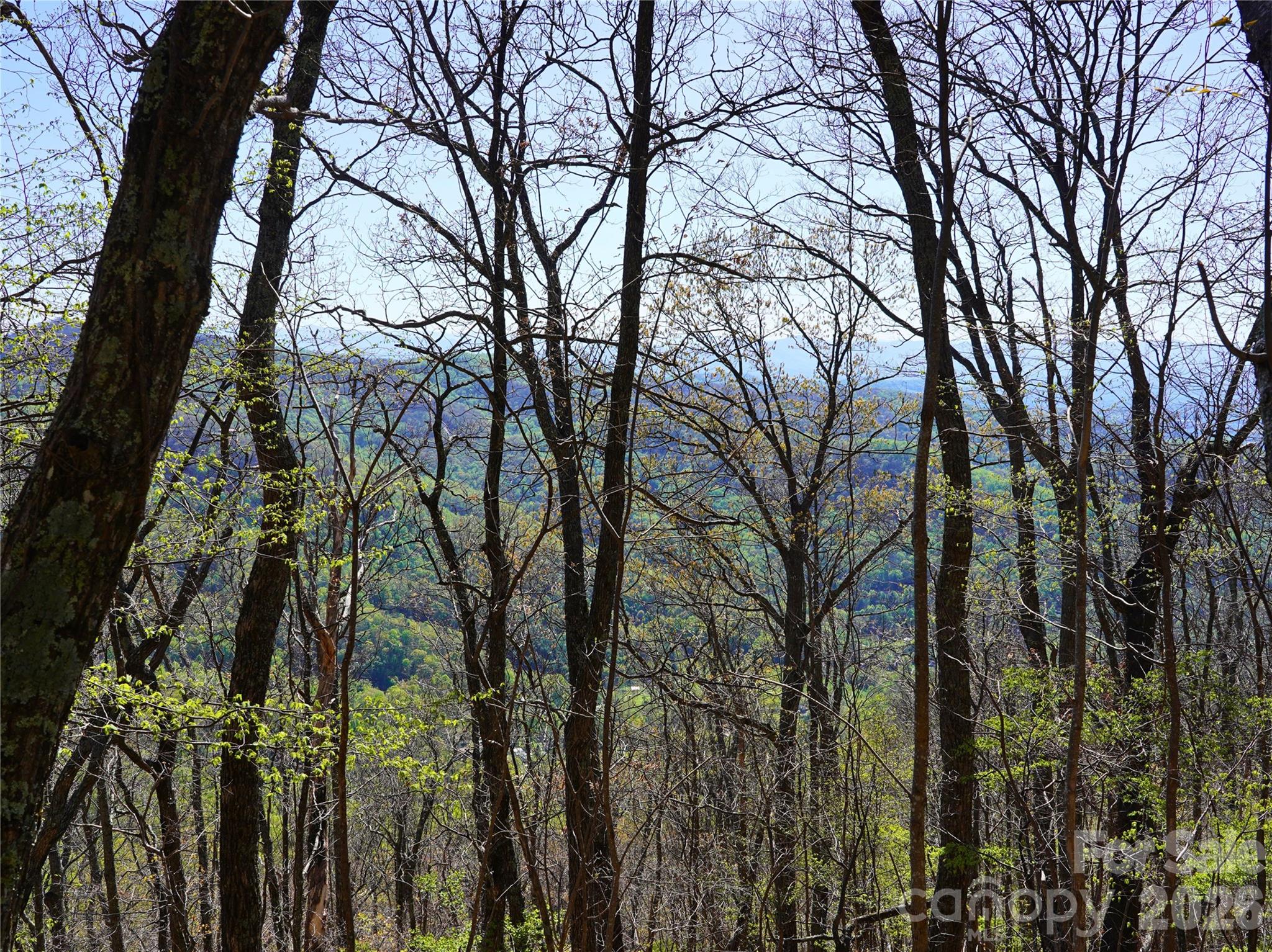 48 Benfield Road Weaverville NC 28787