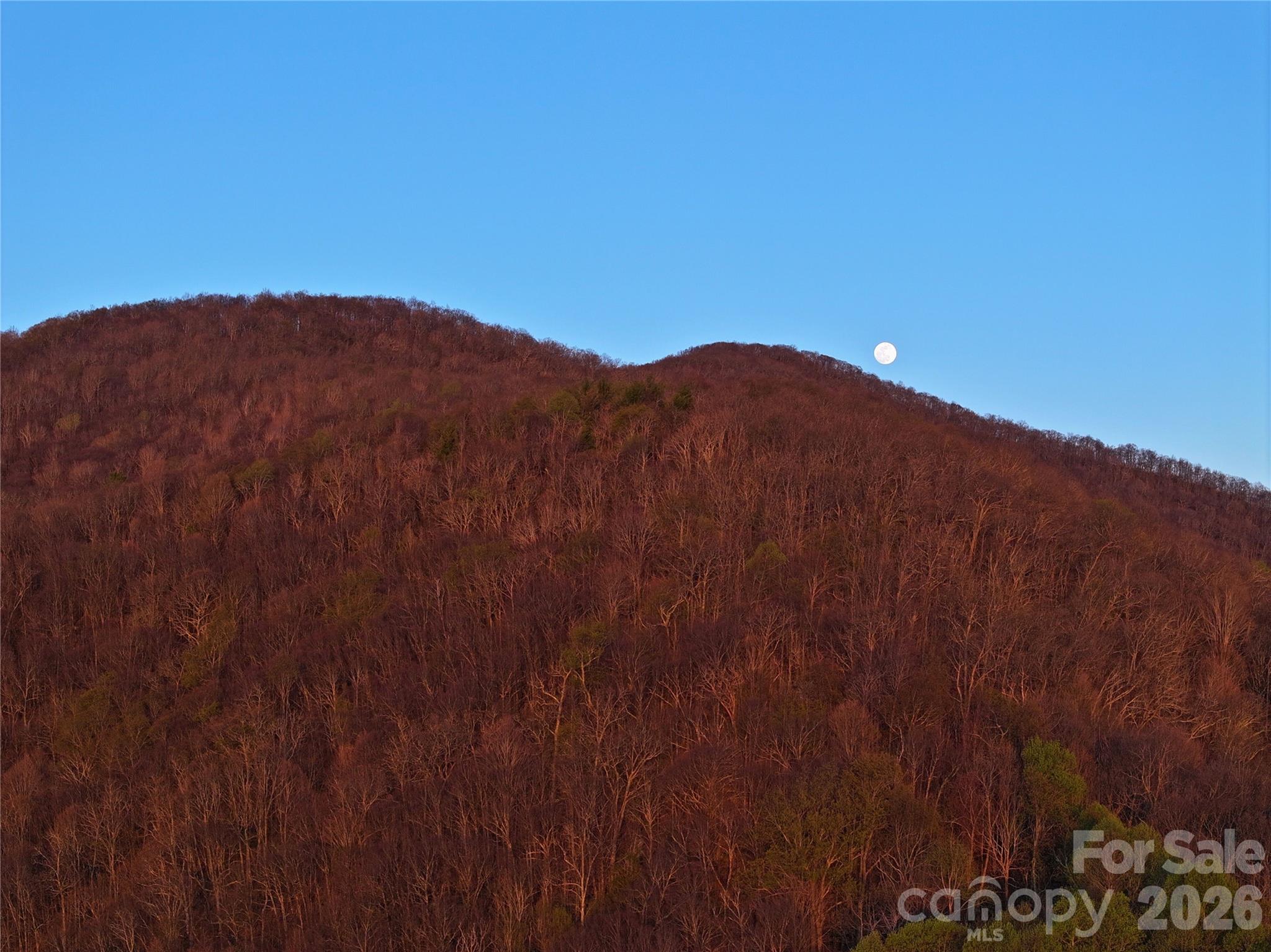 48 Benfield Road Weaverville NC 28787