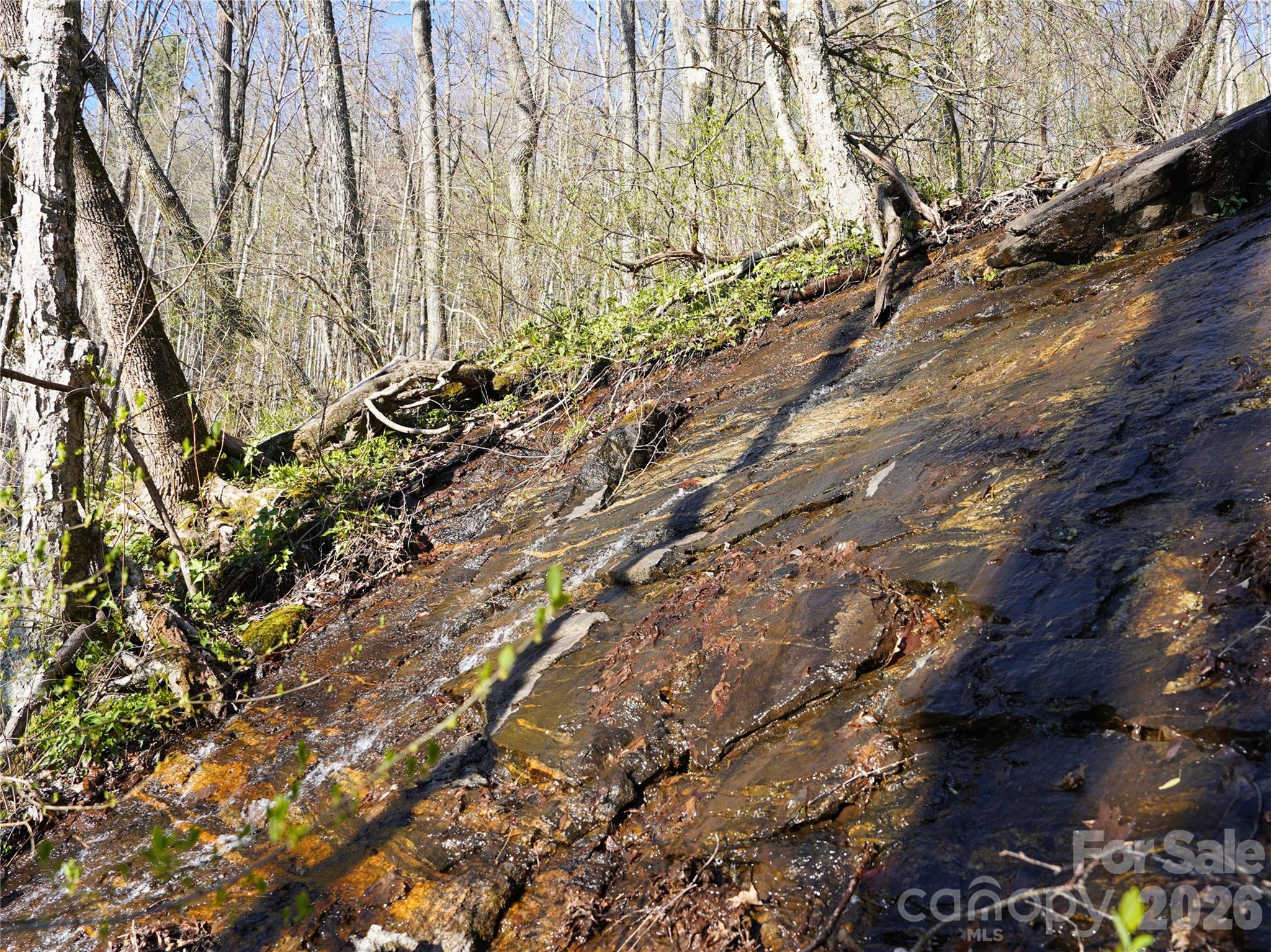 48 Benfield Road Weaverville NC 28787