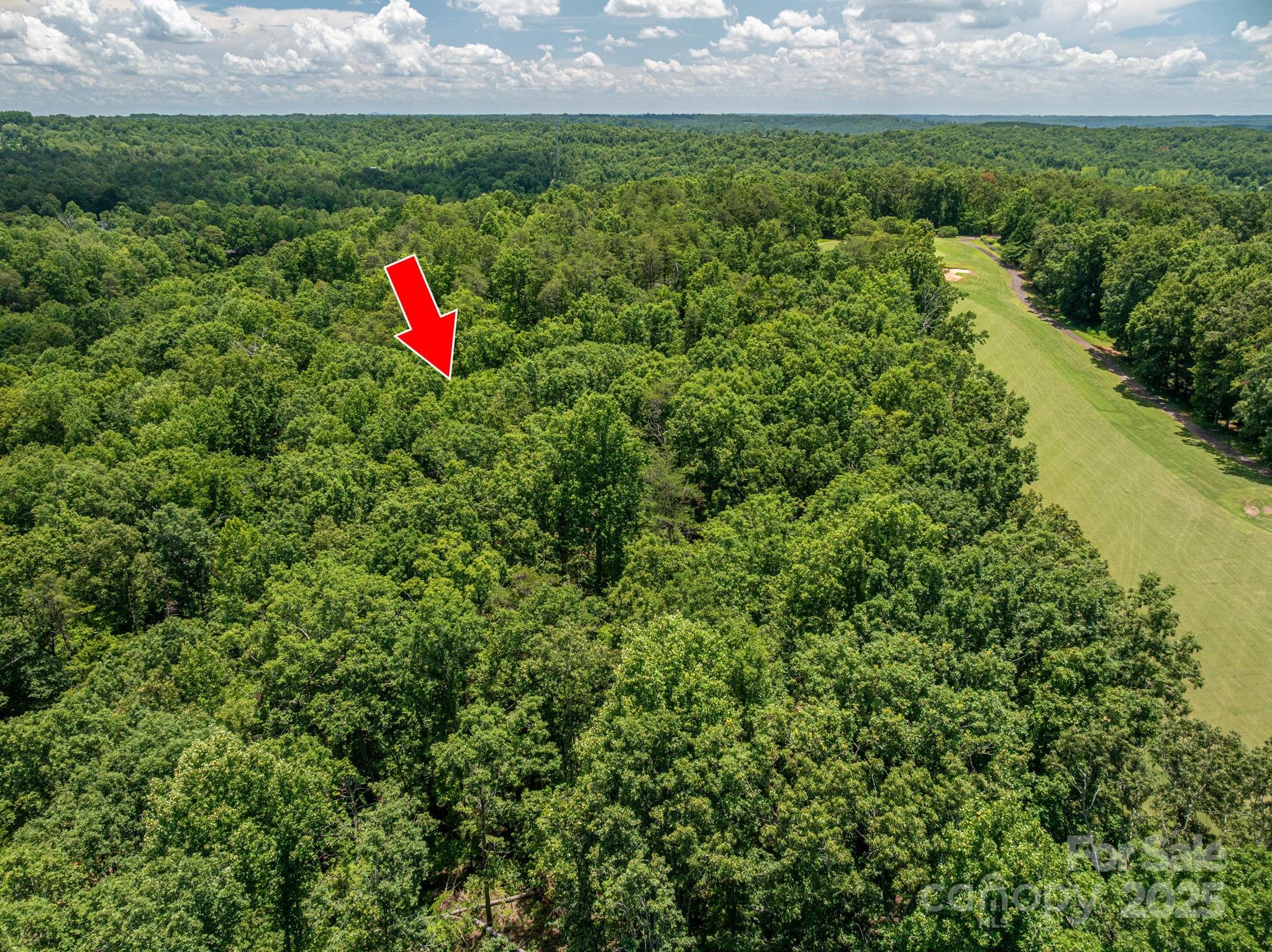 Lot 215 Plantation Drive Rutherfordton NC 28139