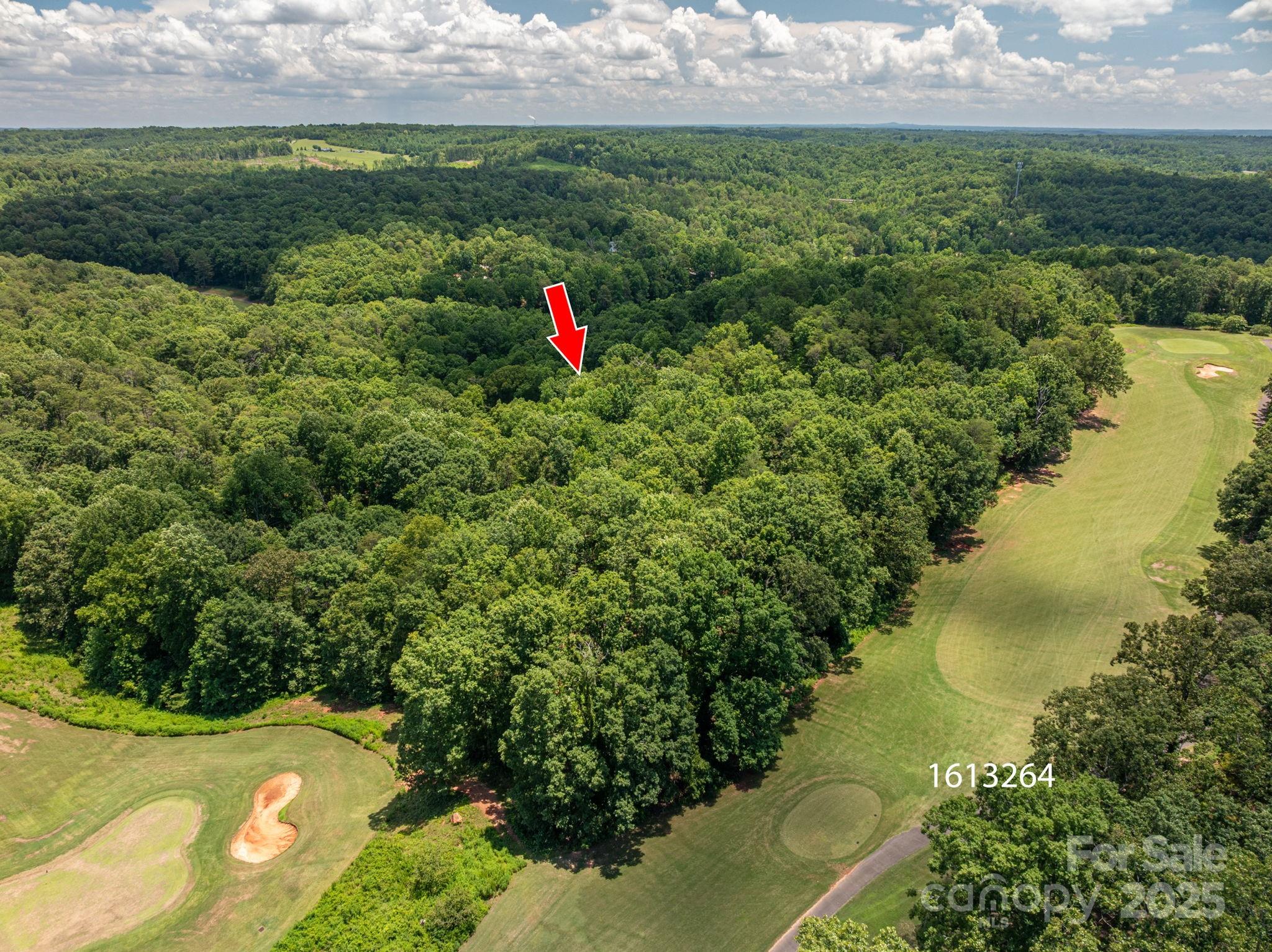 Lot 215 Plantation Drive Rutherfordton NC 28139