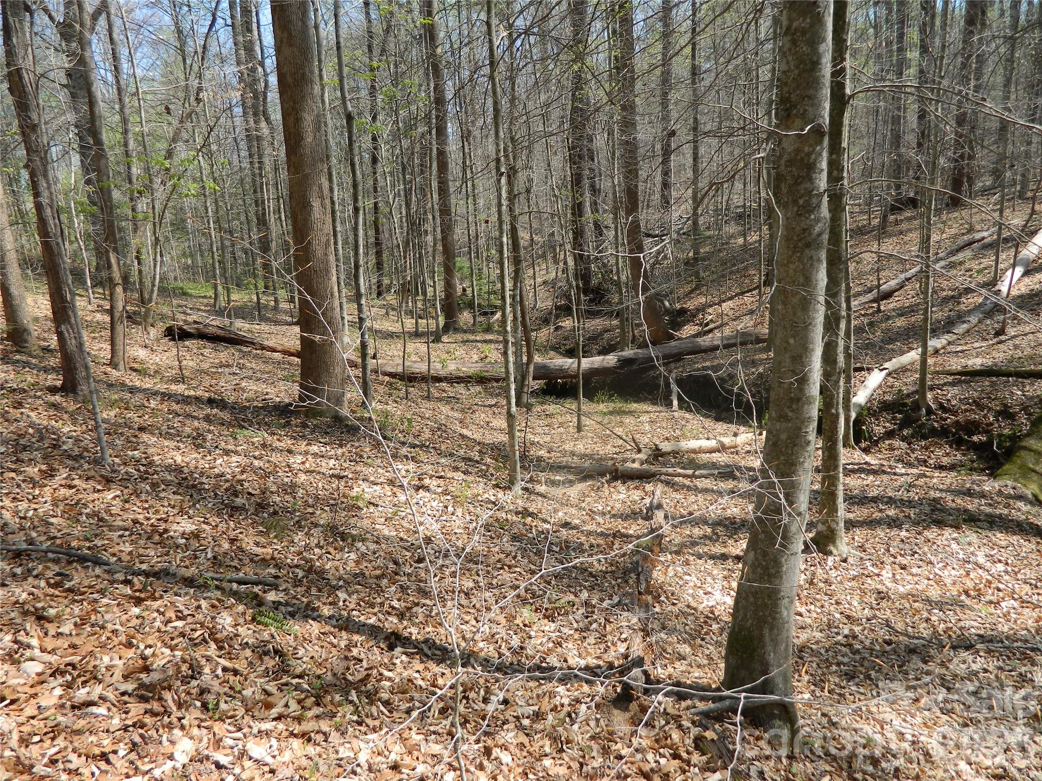 1329 Overlook Drive SW Lenoir NC 28645