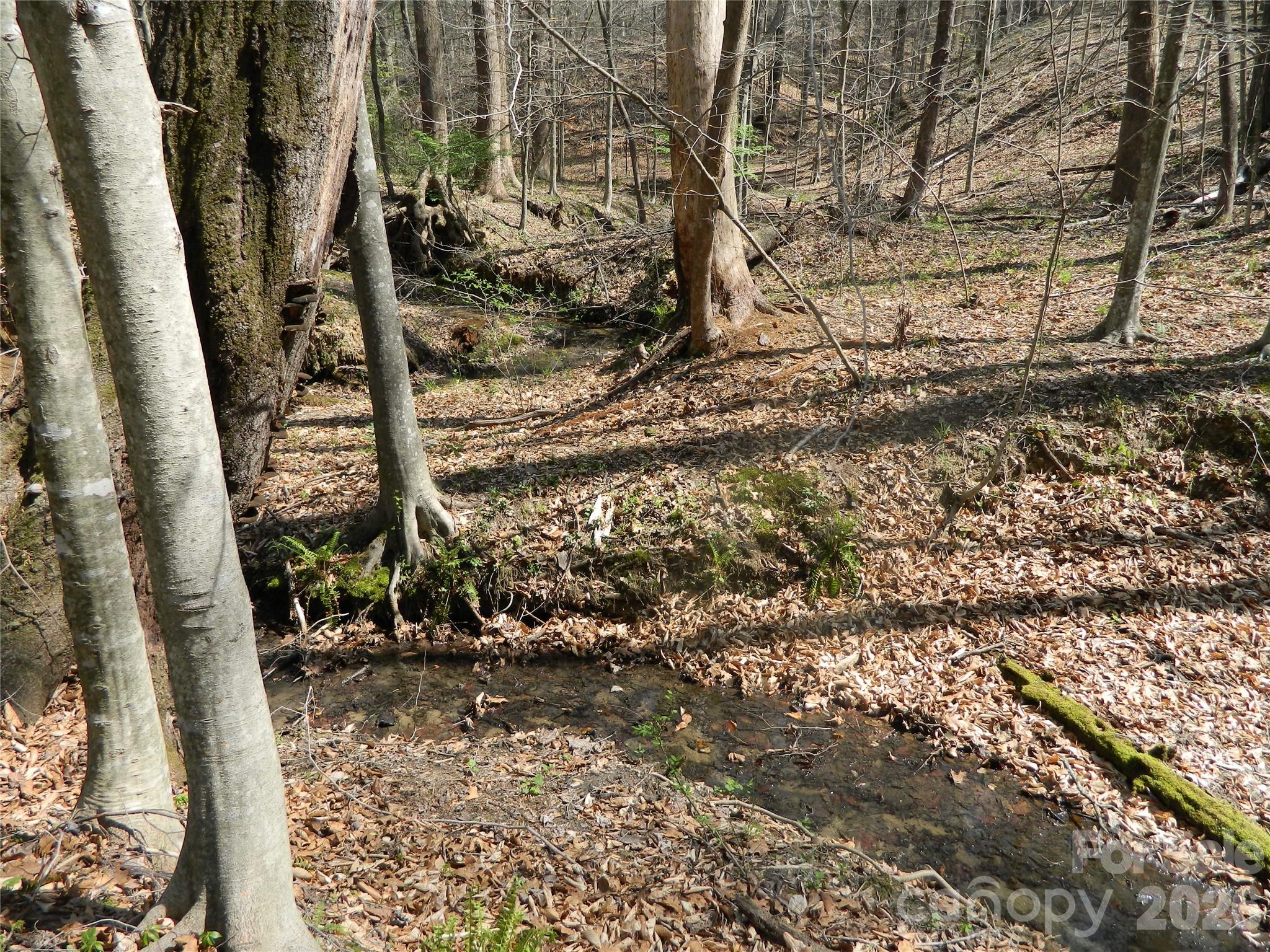 1329 Overlook Drive SW Lenoir NC 28645