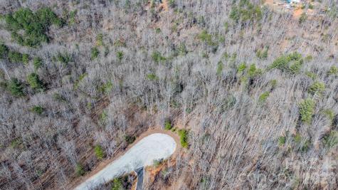 Tbd Dirksen Avenue Nebo NC 28761