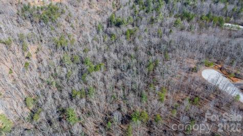 Tbd Dirksen Avenue Nebo NC 28761