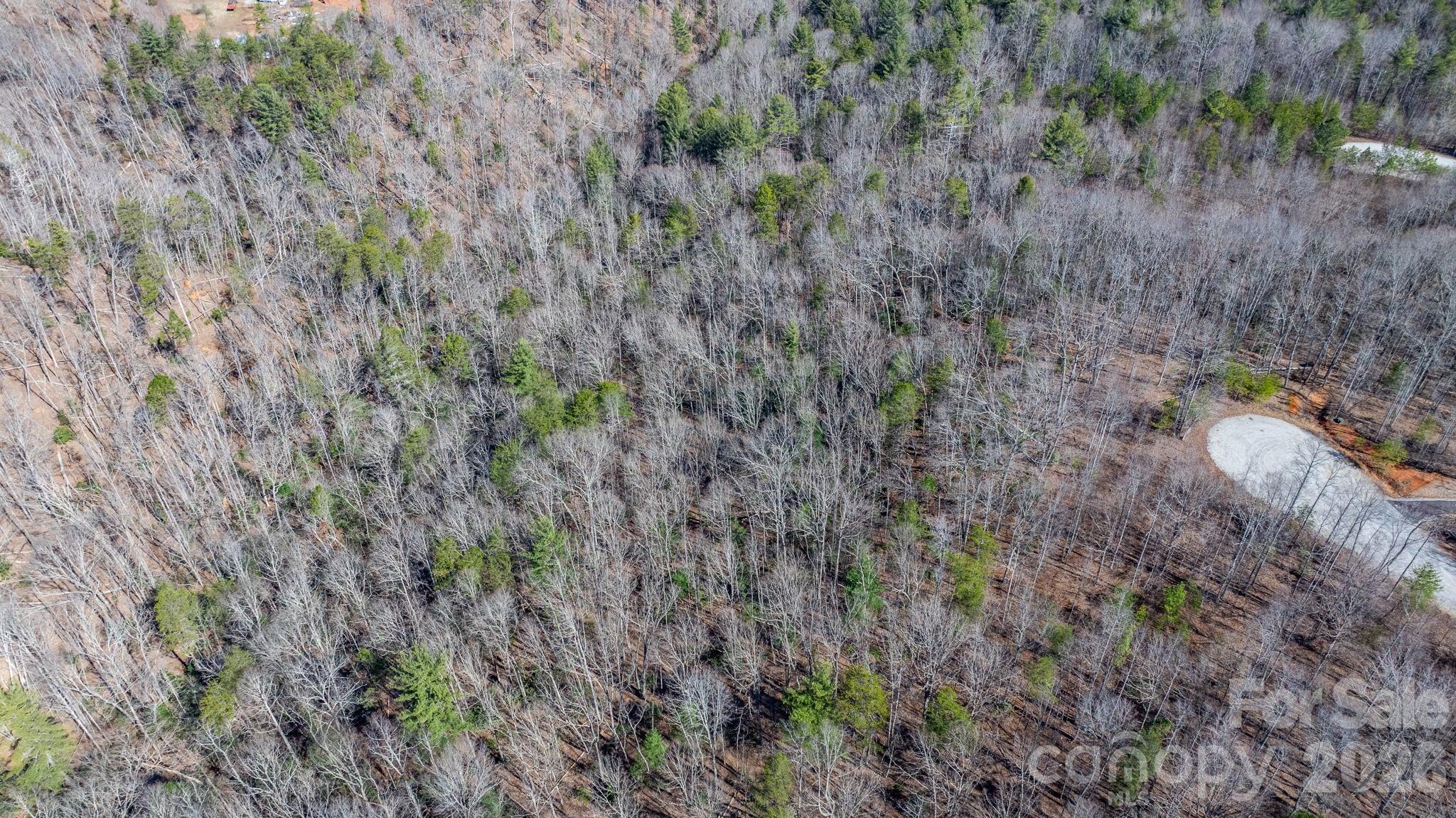 Tbd Dirksen Avenue Nebo NC 28761