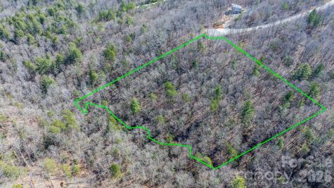 Tbd Dirksen Avenue Nebo NC 28761