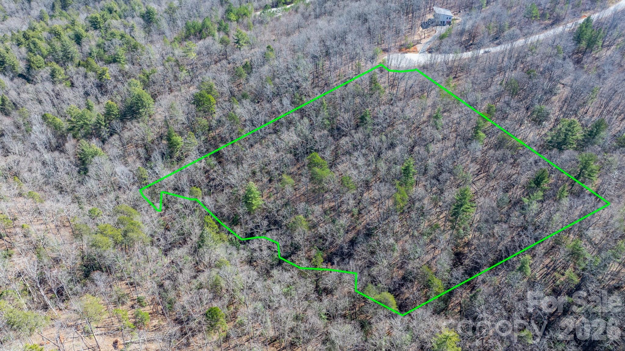 Tbd Dirksen Avenue Nebo NC 28761