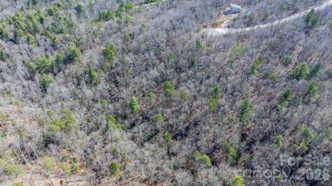 Tbd Dirksen Avenue Nebo NC 28761