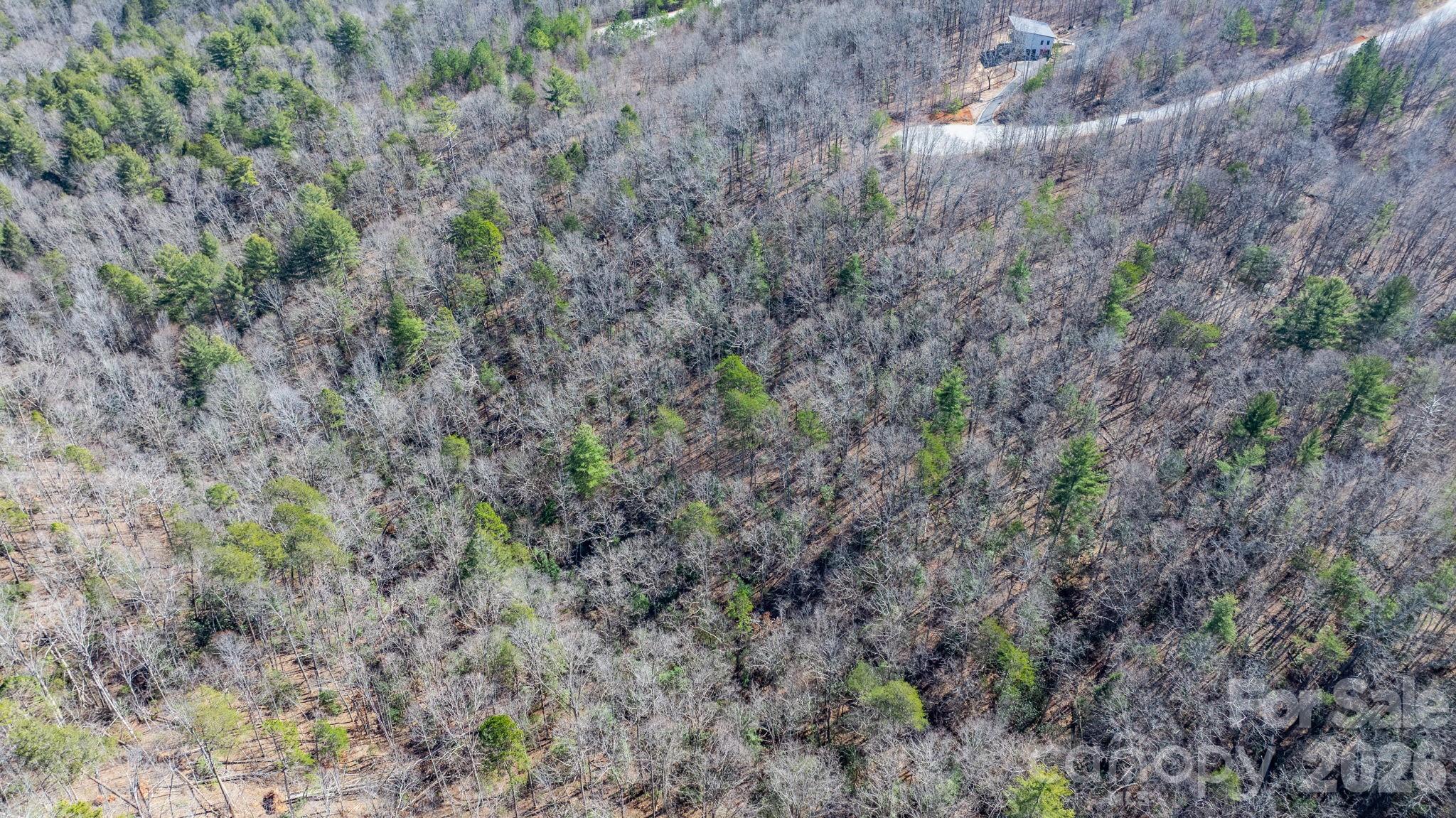 Tbd Dirksen Avenue Nebo NC 28761