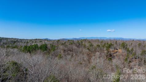 Tbd Dirksen Avenue Nebo NC 28761