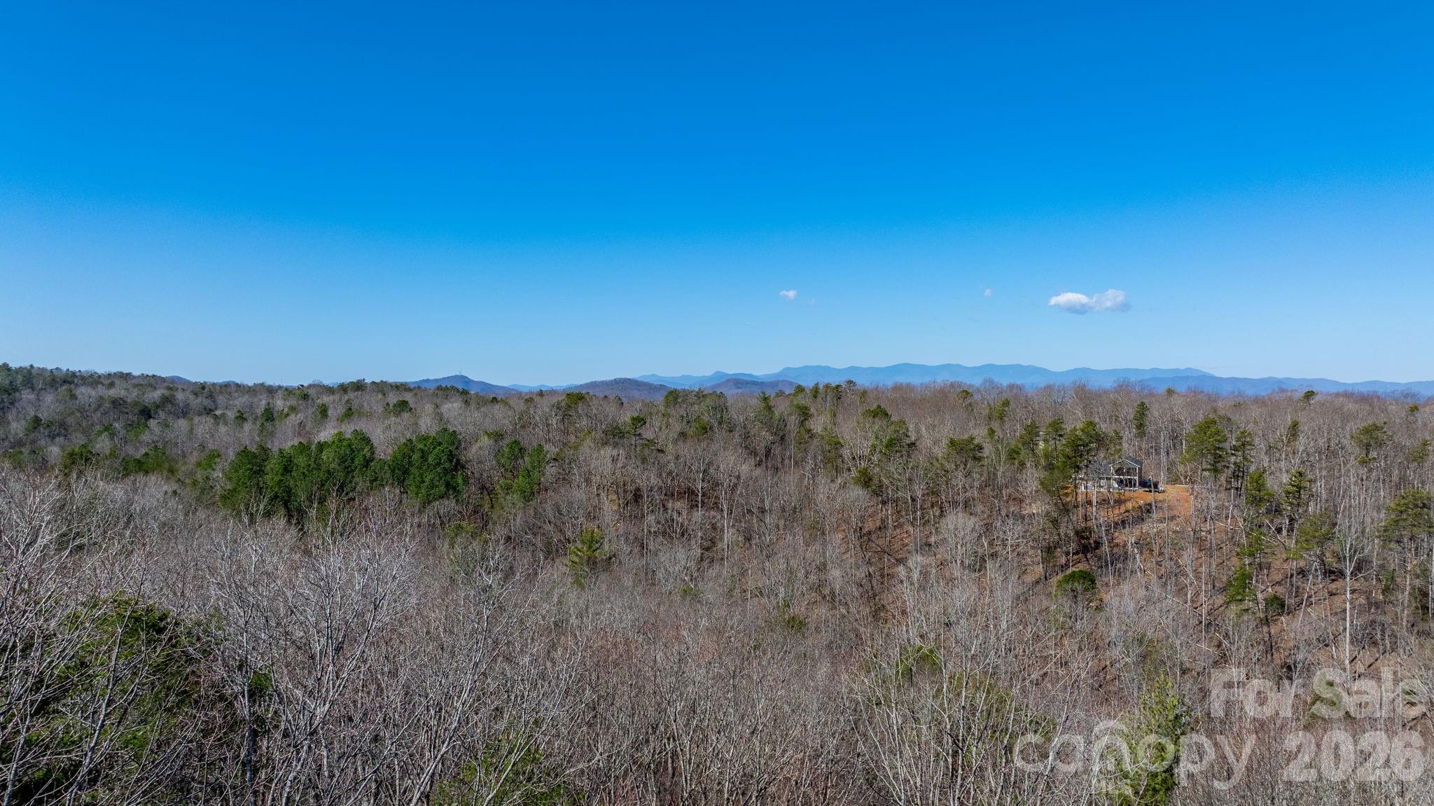 Tbd Dirksen Avenue Nebo NC 28761