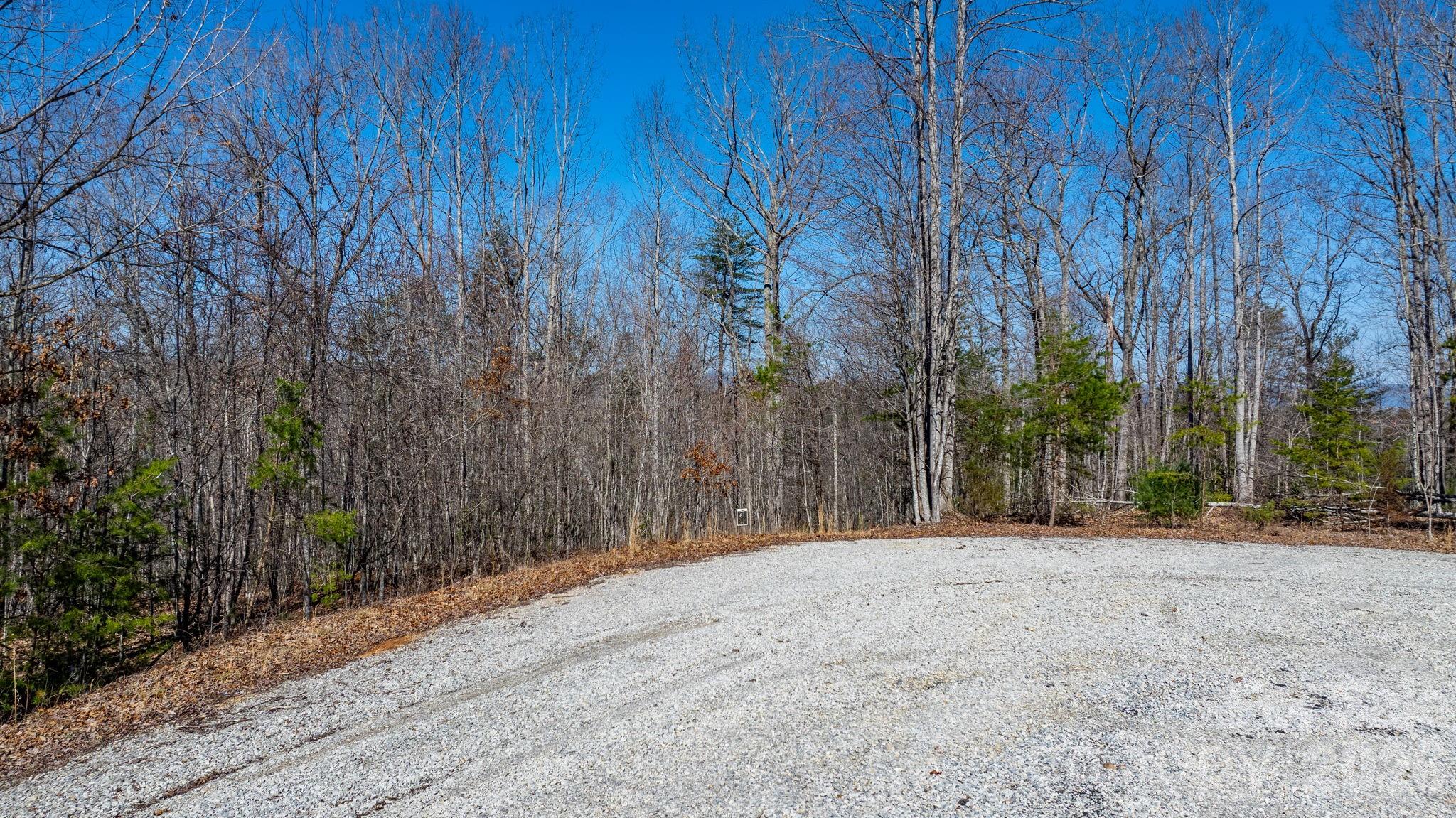 Tbd Dirksen Avenue Nebo NC 28761